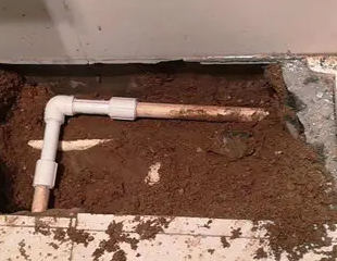 如皋测漏水哪家好