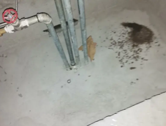 如皋卫生间测漏水价格明细